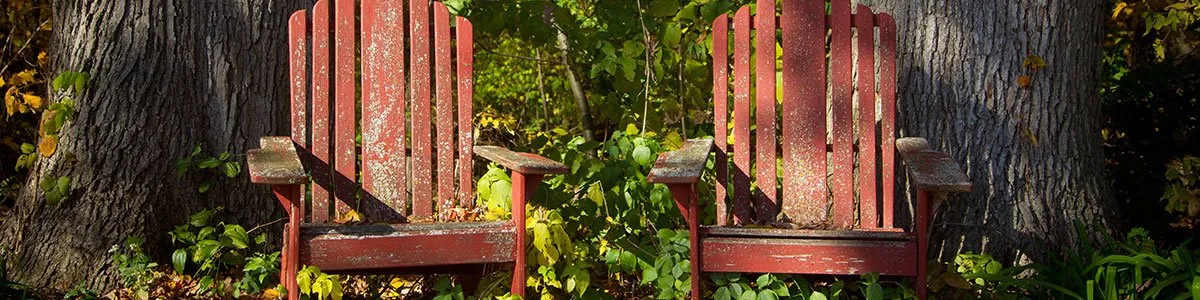 Two red wooden chairs are sitting next to each other in front of a tree.