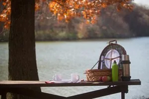 A picnic table with a basket and a thermos on it next to a lake.