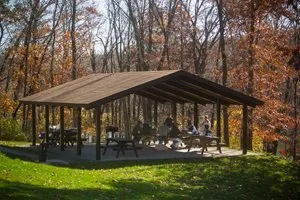 A group of people are sitting under a picnic shelter in the woods.