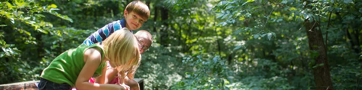 A man and two children are looking at something in the woods.
