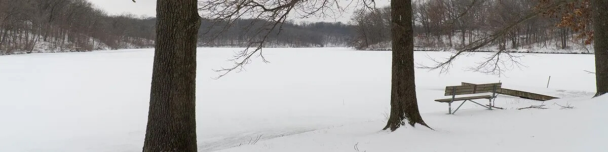 A snowy field with trees in the foreground and a bench in the background.